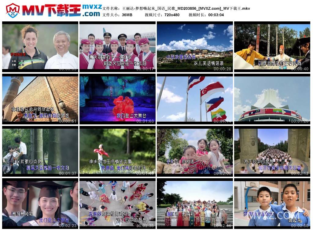 王丽达-梦想嗨起来_国语_民歌_MD203856